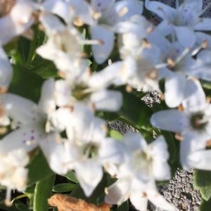 Meet your Posher, Noah